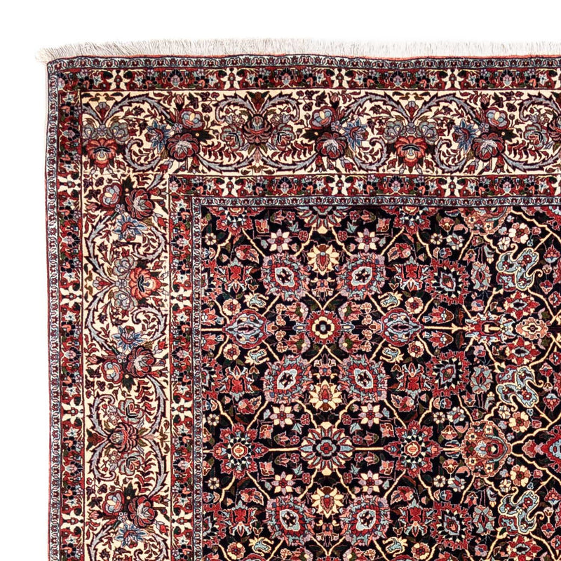 ビジャー - タカブ 絨毯 335x254cm - ペルシャ絨毯
