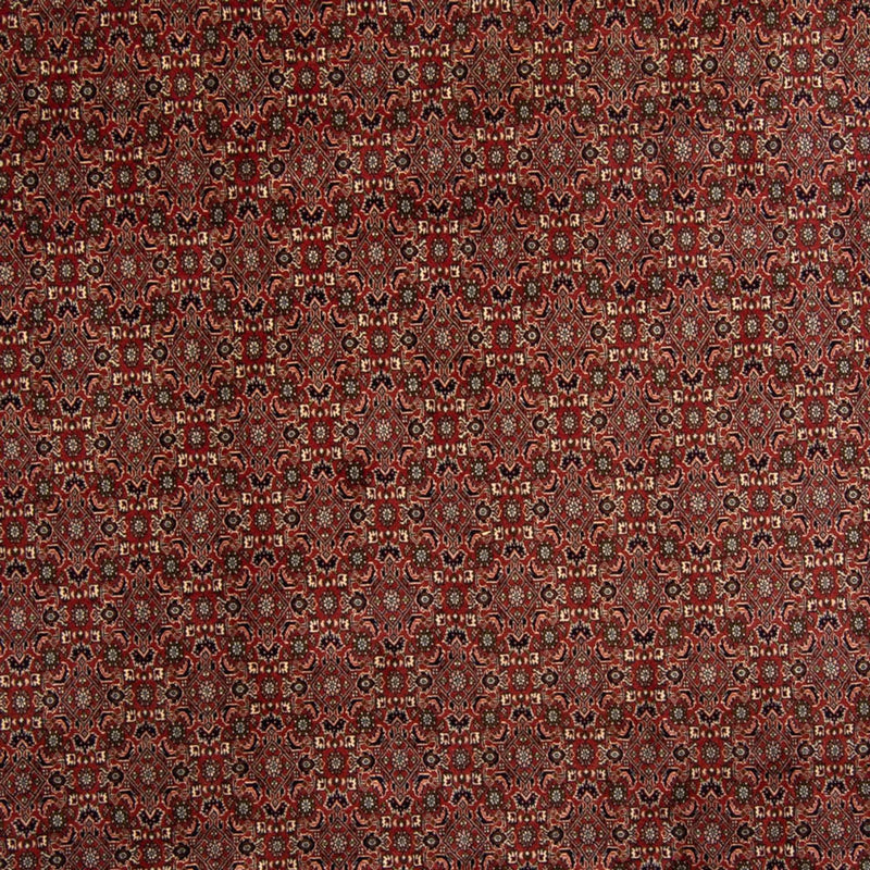 ビジャー 絨毯 342x244cm - ペルシャ絨毯
