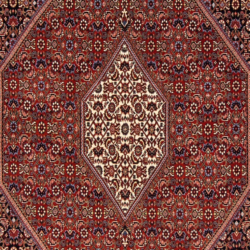 ビジャー 絨毯 241x170cm - ペルシャ絨毯