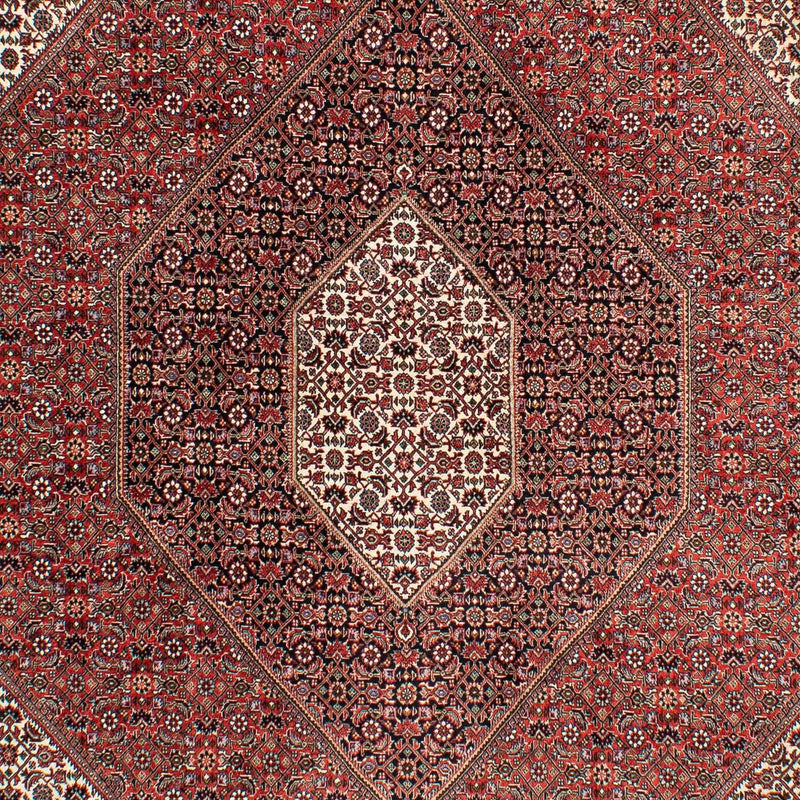 ビジャー 絨毯 294x204cm - ペルシャ絨毯