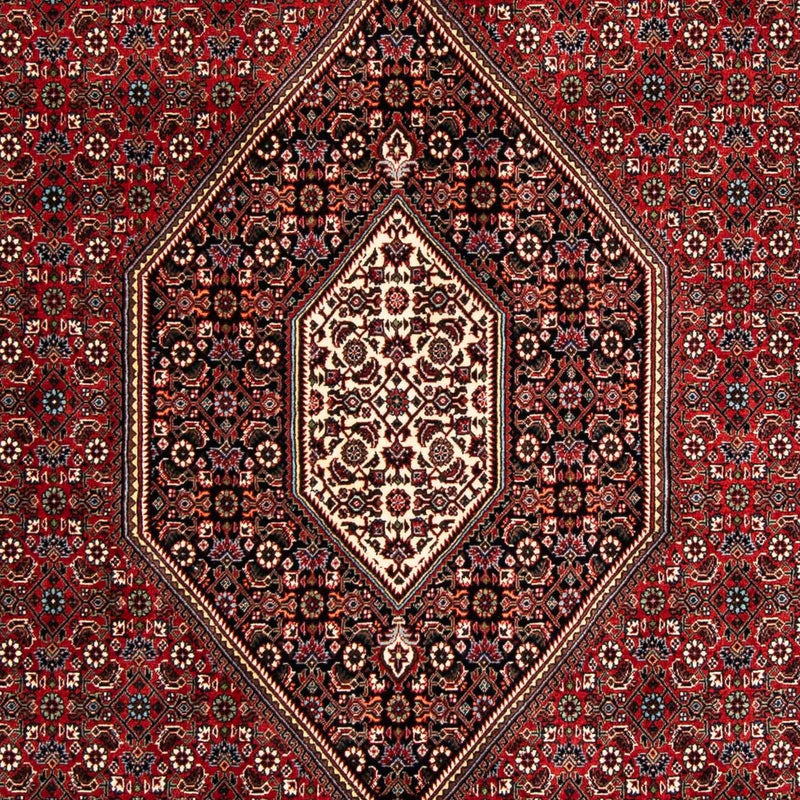 ビジャー 絨毯 258x169cm - ペルシャ絨毯