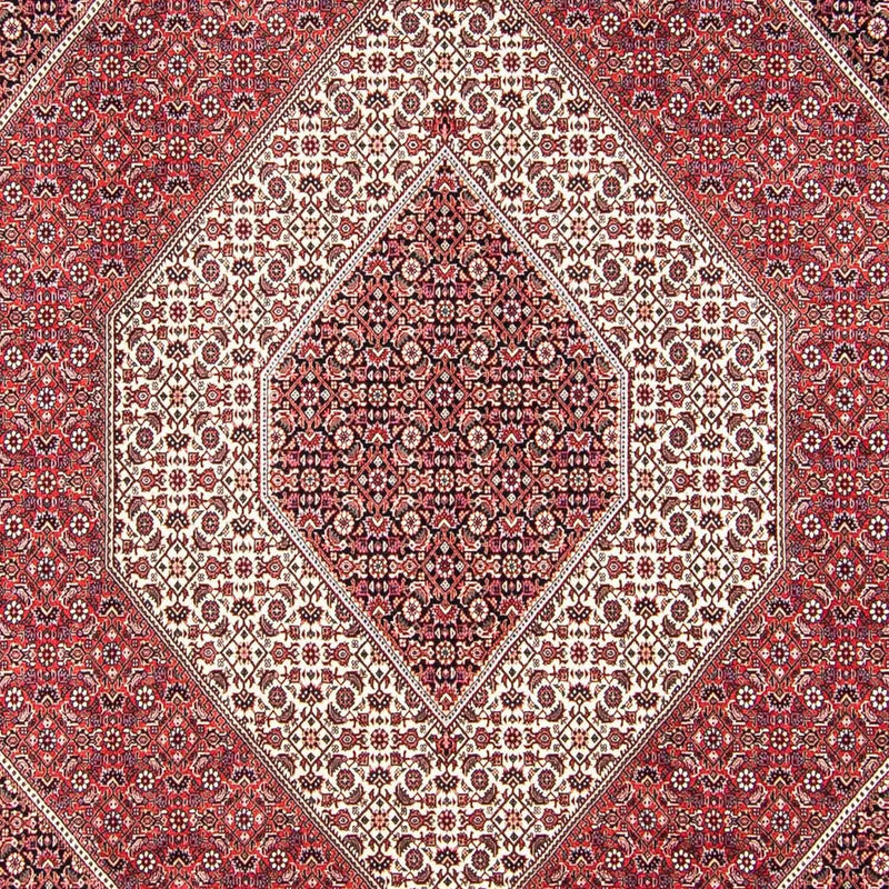 ビジャー 絨毯 312x248cm - ペルシャ絨毯