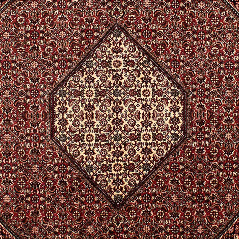 ビジャー 絨毯 288x198cm - ペルシャ絨毯