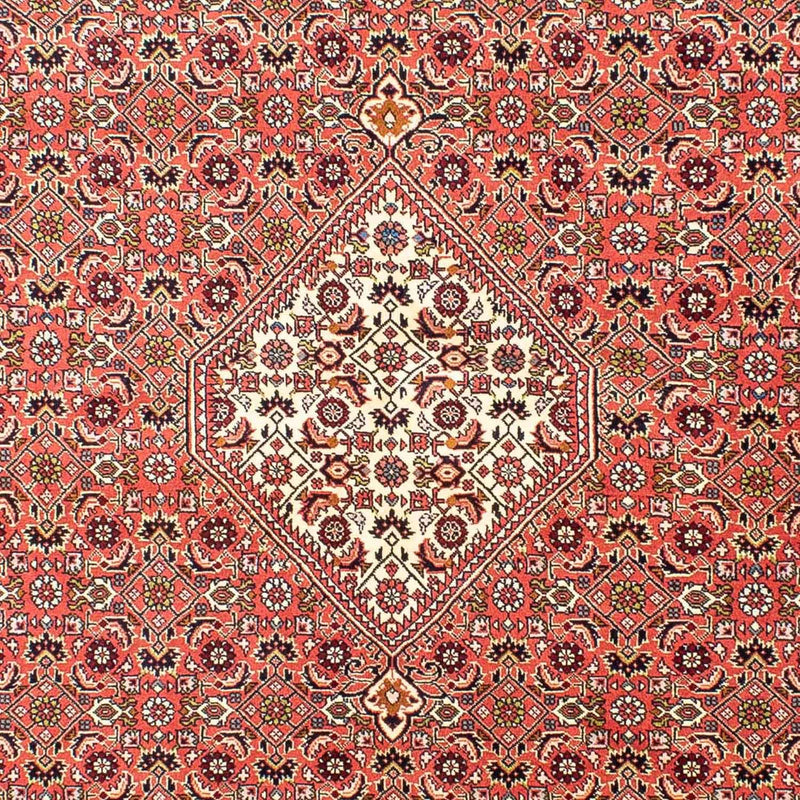 ビジャー 絨毯 252x173cm - ペルシャ絨毯