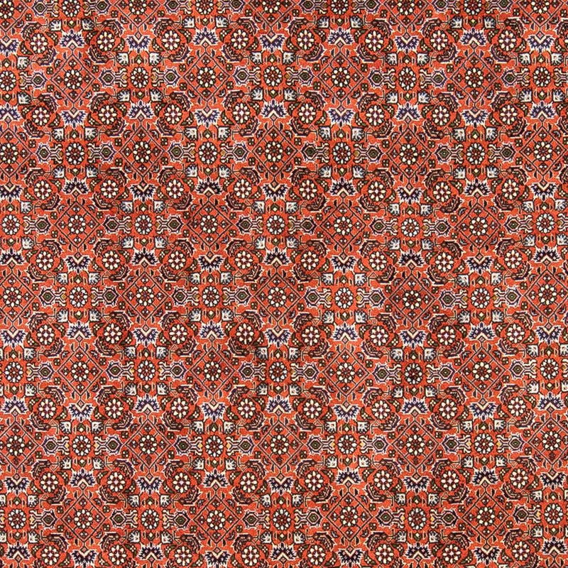 ビジャー 絨毯 237x168cm - ペルシャ絨毯