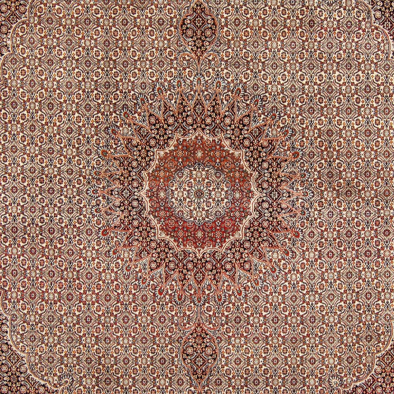 モウド 絨毯 290x248cm - ペルシャ絨毯