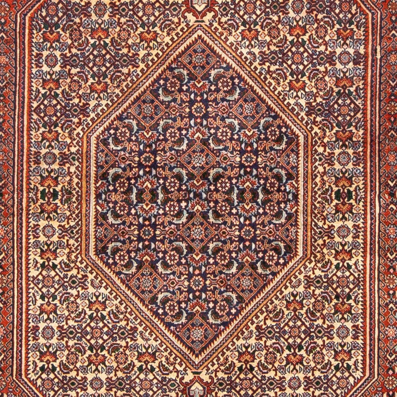 ビジャー 絨毯 240x138cm - ペルシャ絨毯