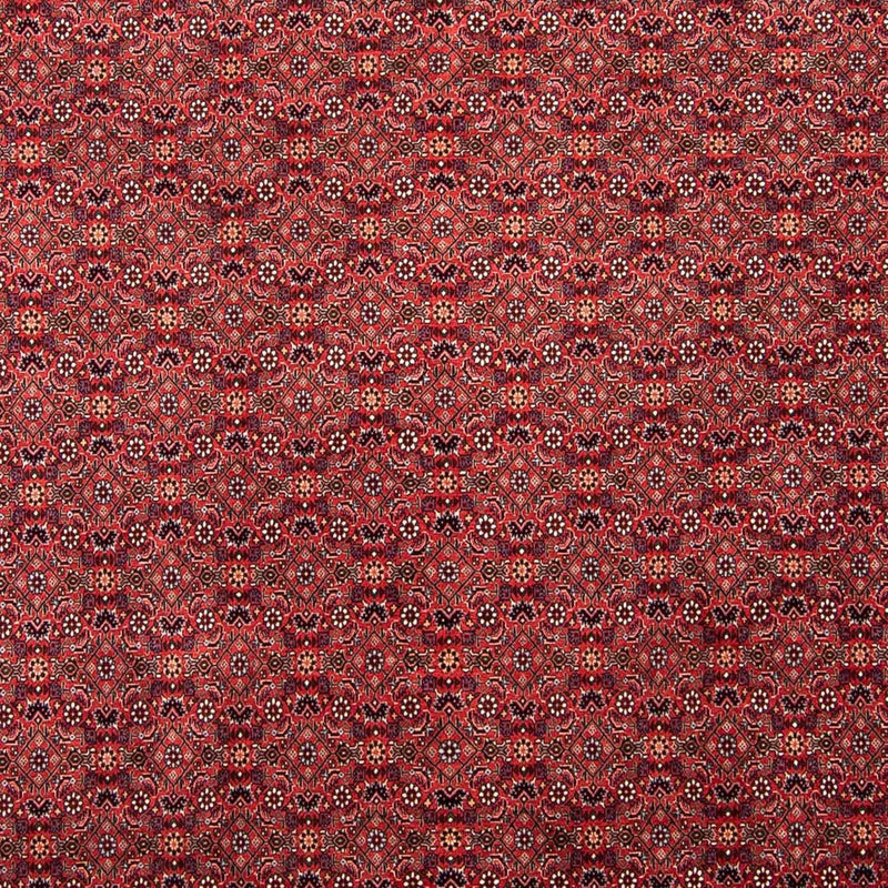 ビジャー 絨毯 296x250cm - ペルシャ絨毯