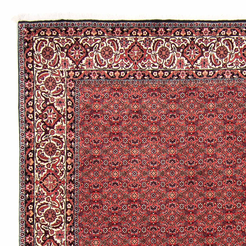 ビジャー 絨毯 296x250cm - ペルシャ絨毯