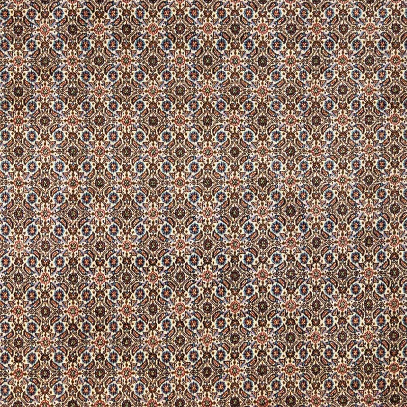 モウド 絨毯 348x245cm - ペルシャ絨毯