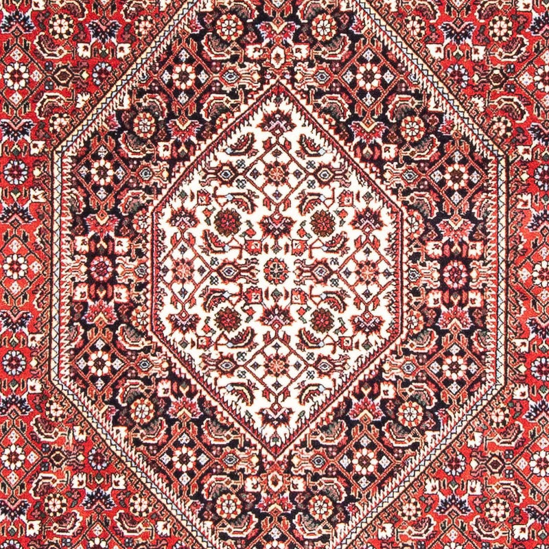 ビジャー 絨毯 180x113cm - ペルシャ絨毯