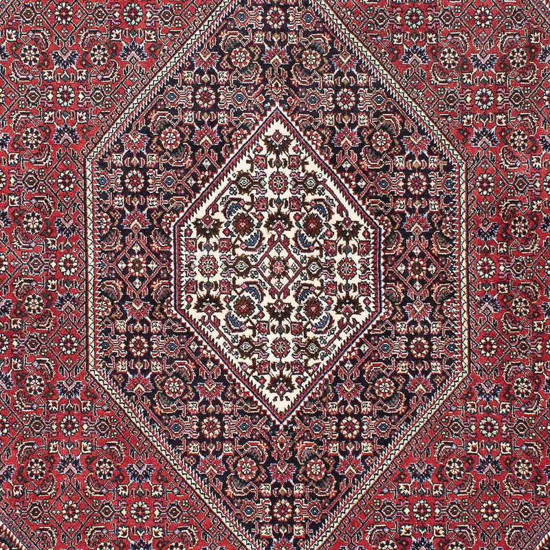 ビジャー 絨毯 215x148cm - ペルシャ絨毯