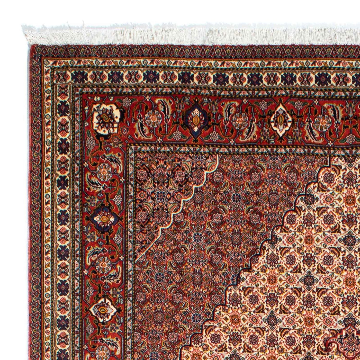 サラブ 絨毯 262x167cm - ペルシャ絨毯