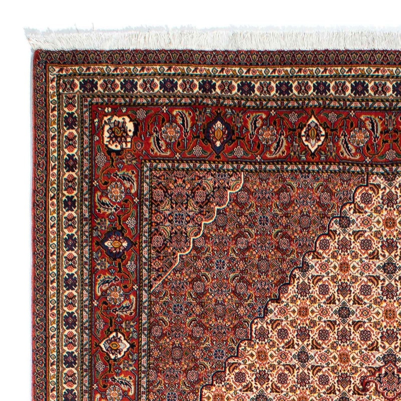 サラブ 絨毯 262x167cm - ペルシャ絨毯
