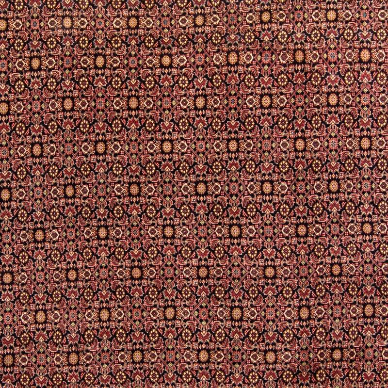 ビジャー 絨毯 343x254cm - ペルシャ絨毯