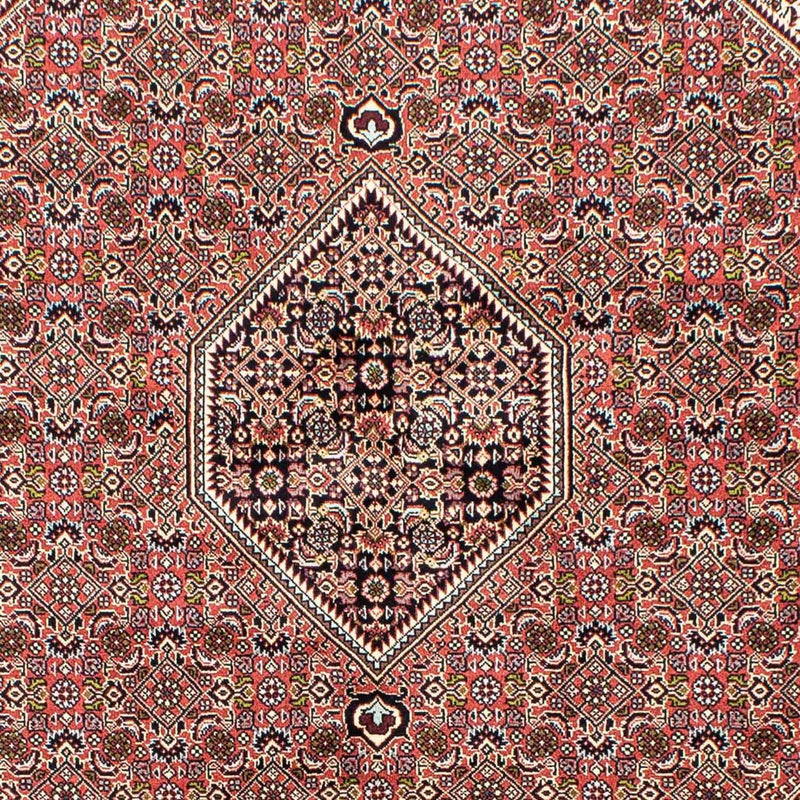 ビジャー 絨毯 250x168cm - ペルシャ絨毯