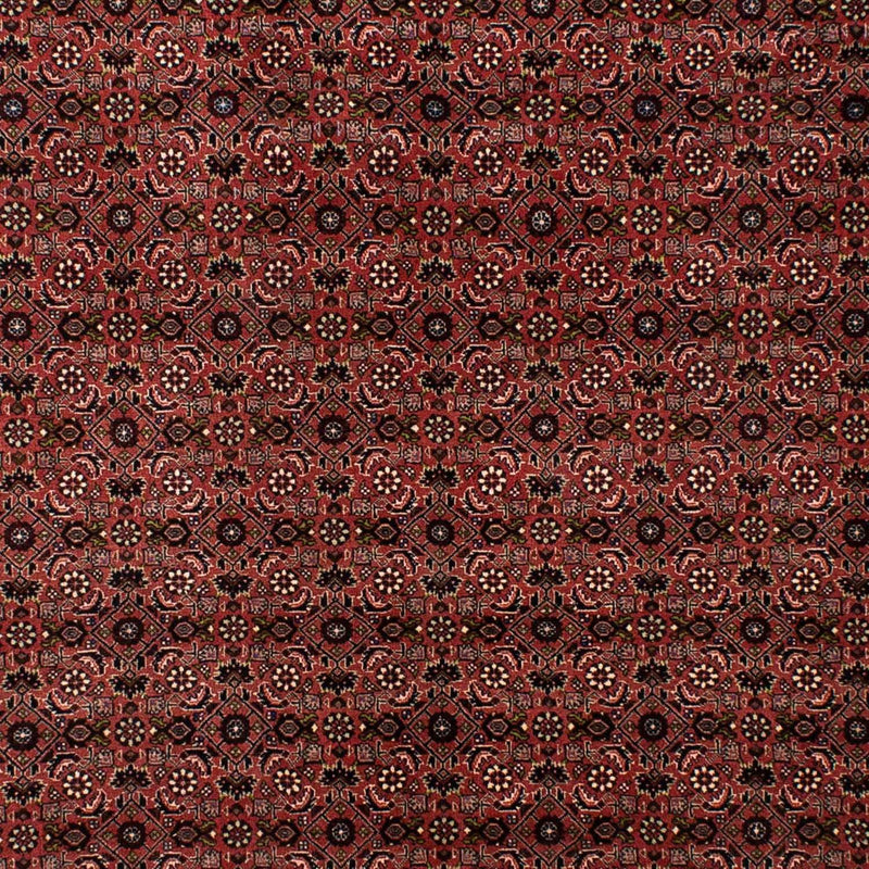 ビジャー 絨毯 295x196cm - ペルシャ絨毯