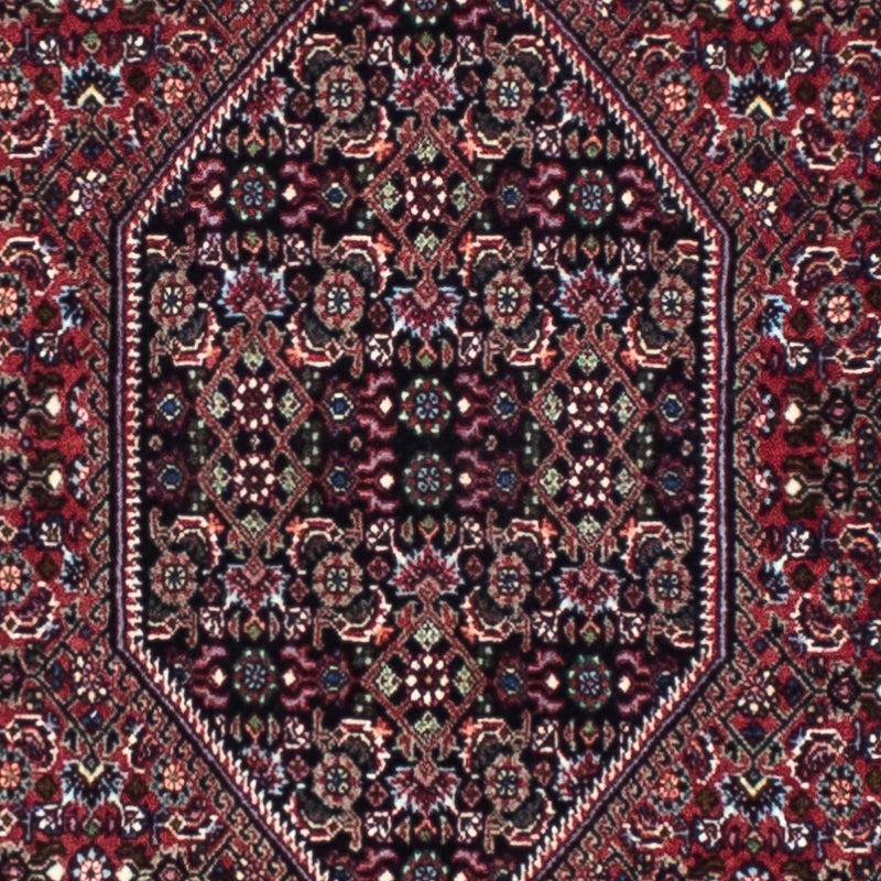 ビジャー 絨毯 253x72cm - ペルシャ絨毯