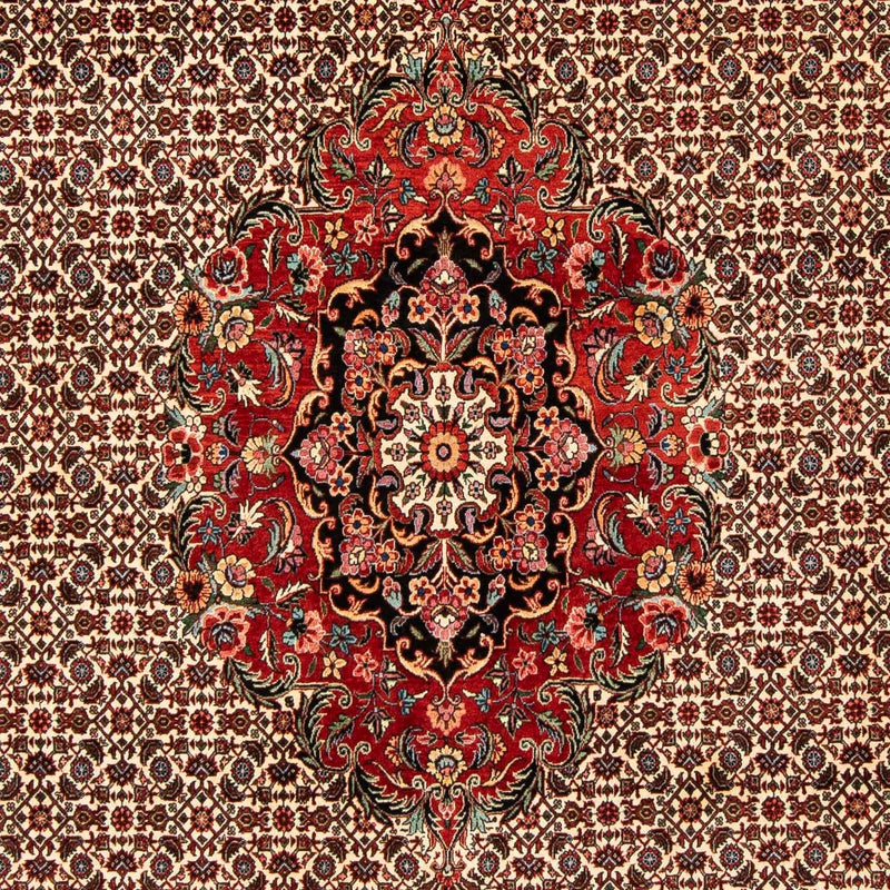 ビジャー 絨毯 258x200cm - ペルシャ絨毯