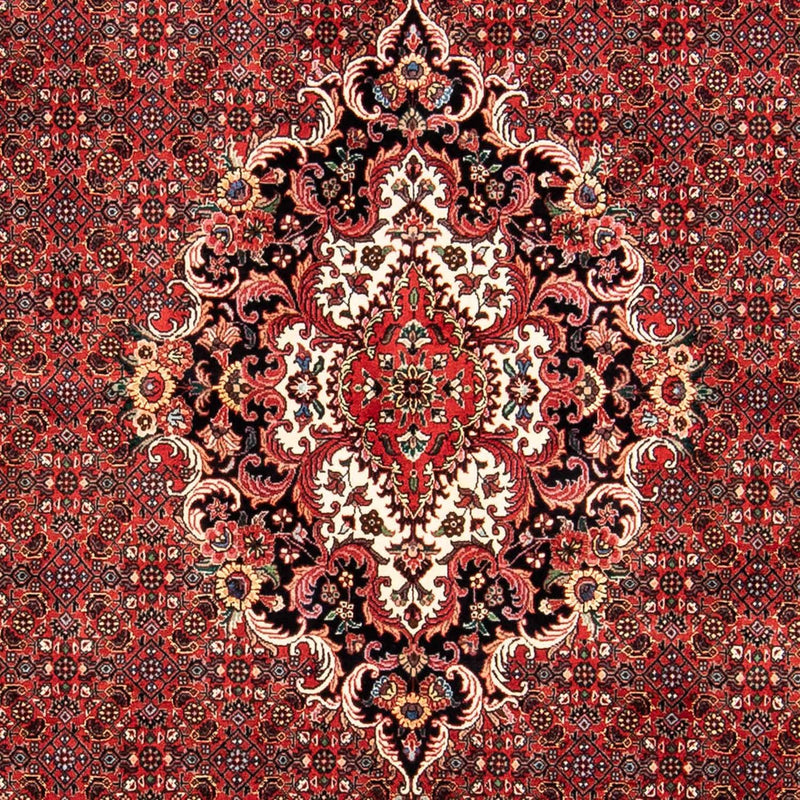 ビジャー 絨毯 233x168cm - ペルシャ絨毯