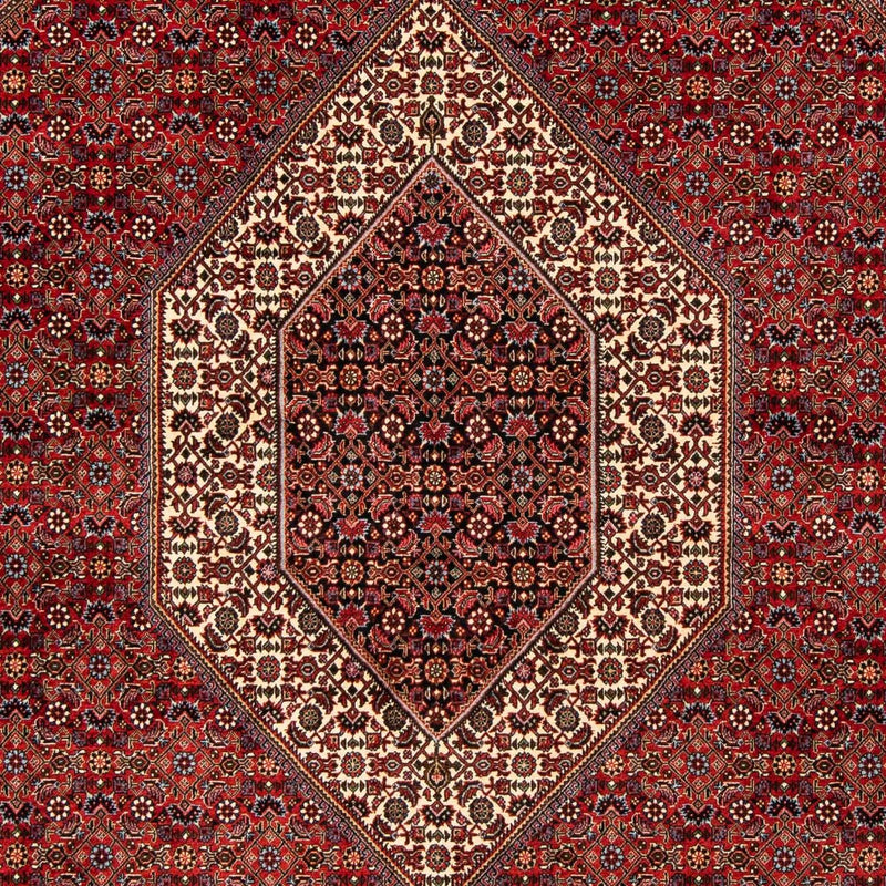 ビジャー 絨毯 244x200cm - ペルシャ絨毯