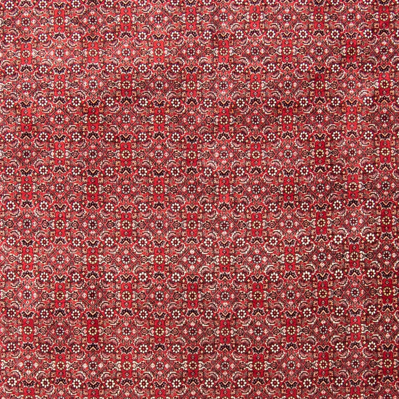 ビジャー 絨毯 340x255cm - ペルシャ絨毯