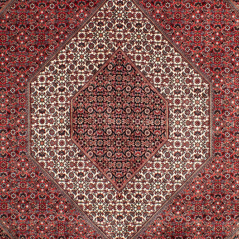 ビジャー 絨毯 302x204cm - ペルシャ絨毯