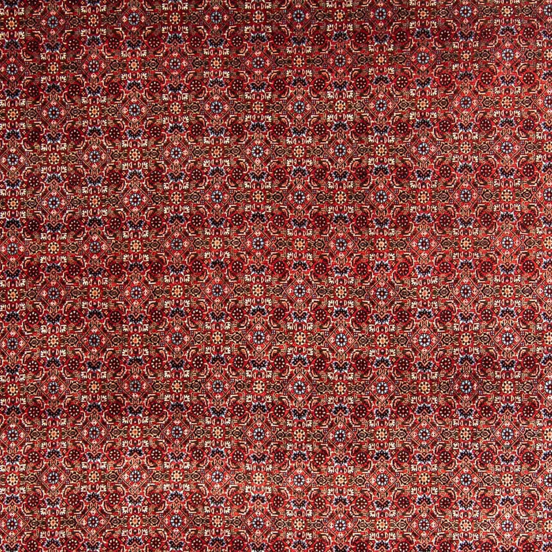ビジャー 絨毯 350x250cm - ペルシャ絨毯
