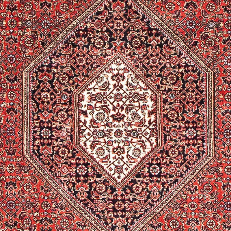 ビジャー 絨毯 170x110cm - ペルシャ絨毯