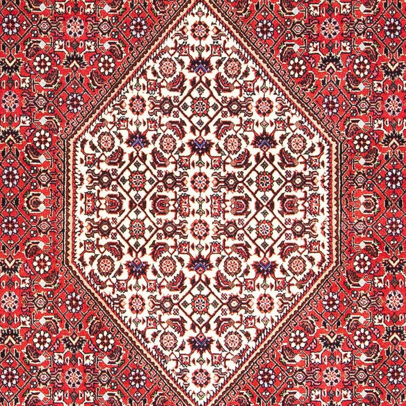 ビジャー 絨毯 175x108cm - ペルシャ絨毯