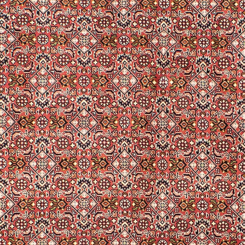 ビジャー 絨毯 215x136cm - ペルシャ絨毯