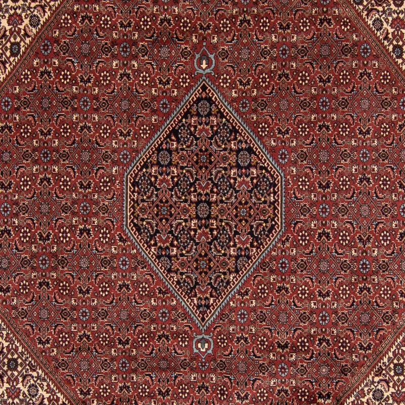 ビジャー 絨毯 342x250cm - ペルシャ絨毯
