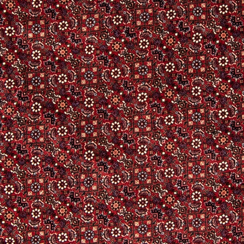 ビジャー 絨毯 200x200cm - ペルシャ絨毯
