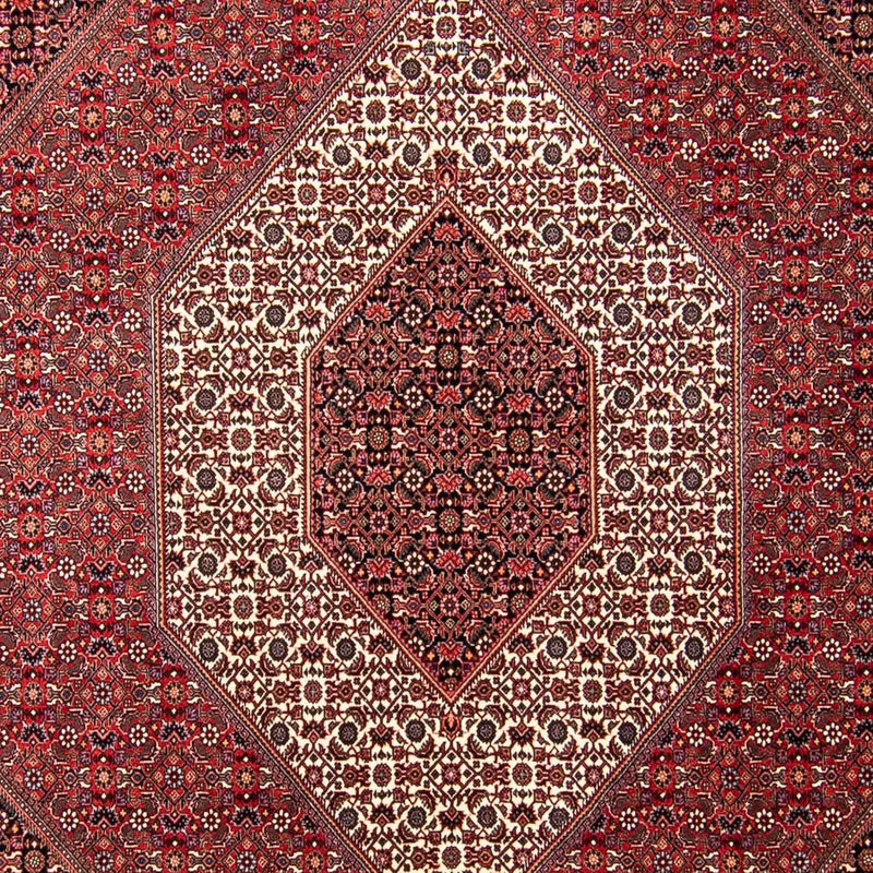 ビジャー 絨毯 297x250cm - ペルシャ絨毯