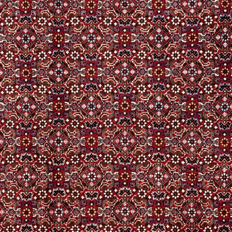 ビジャー - タカブ 絨毯 340x252cm - ペルシャ絨毯