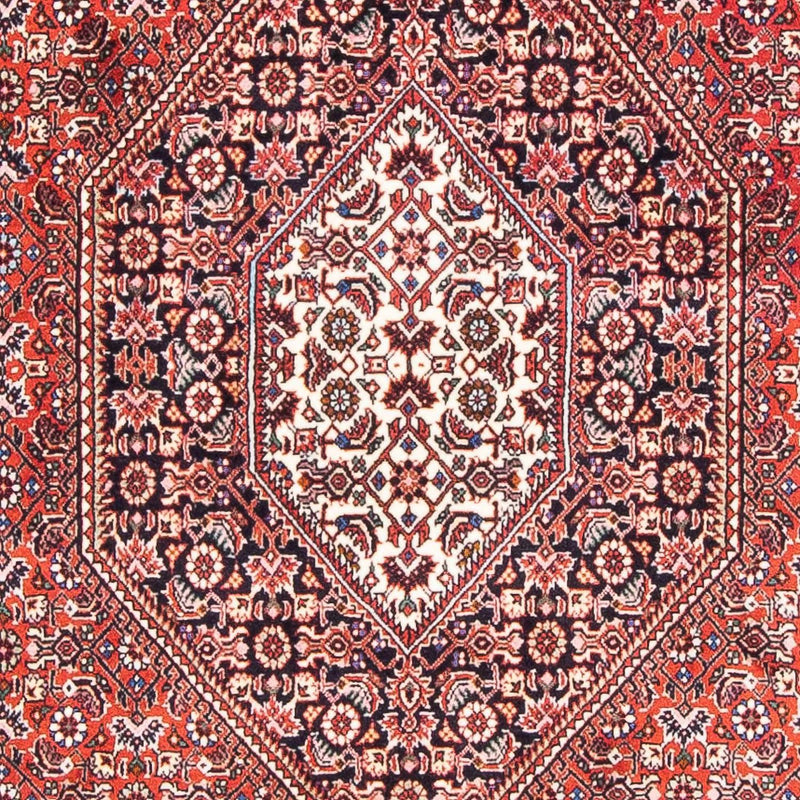 ビジャー 絨毯 170x110cm - ペルシャ絨毯