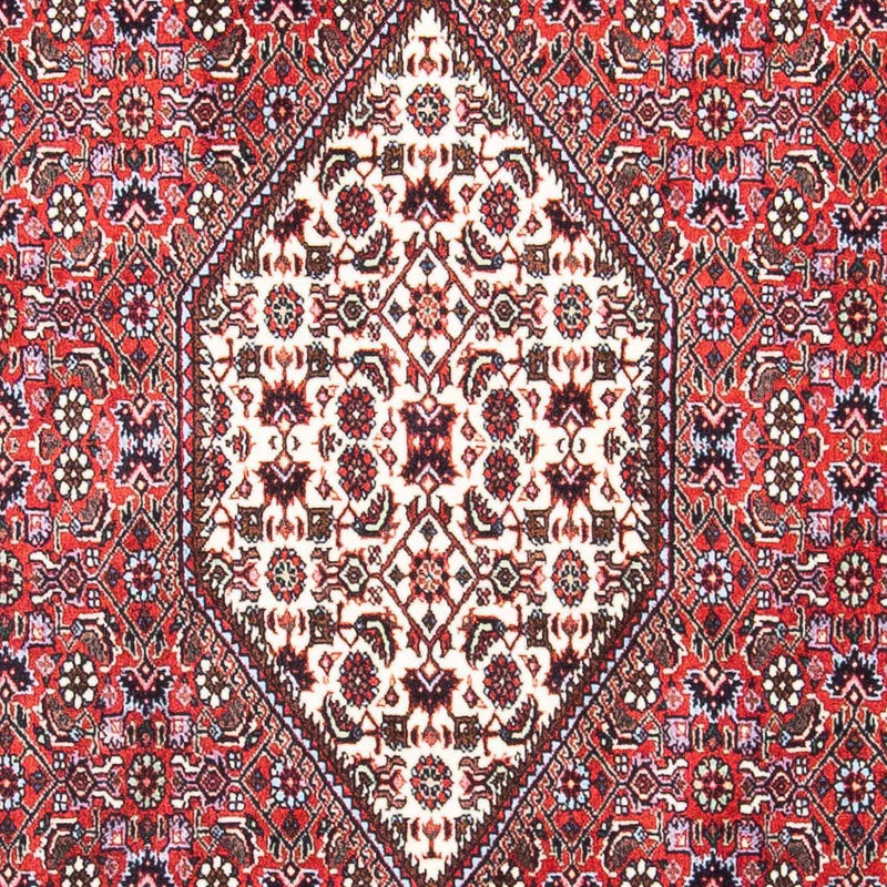 ビジャー 絨毯 169x106cm - ペルシャ絨毯