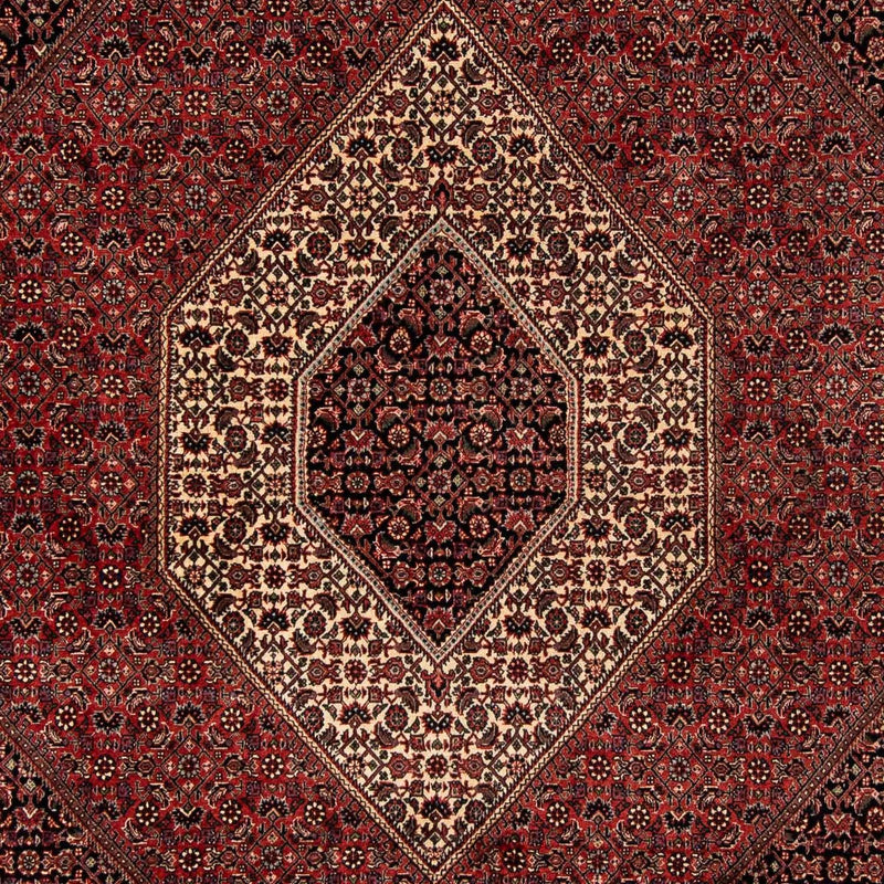 ビジャー 絨毯 259x201cm - ペルシャ絨毯