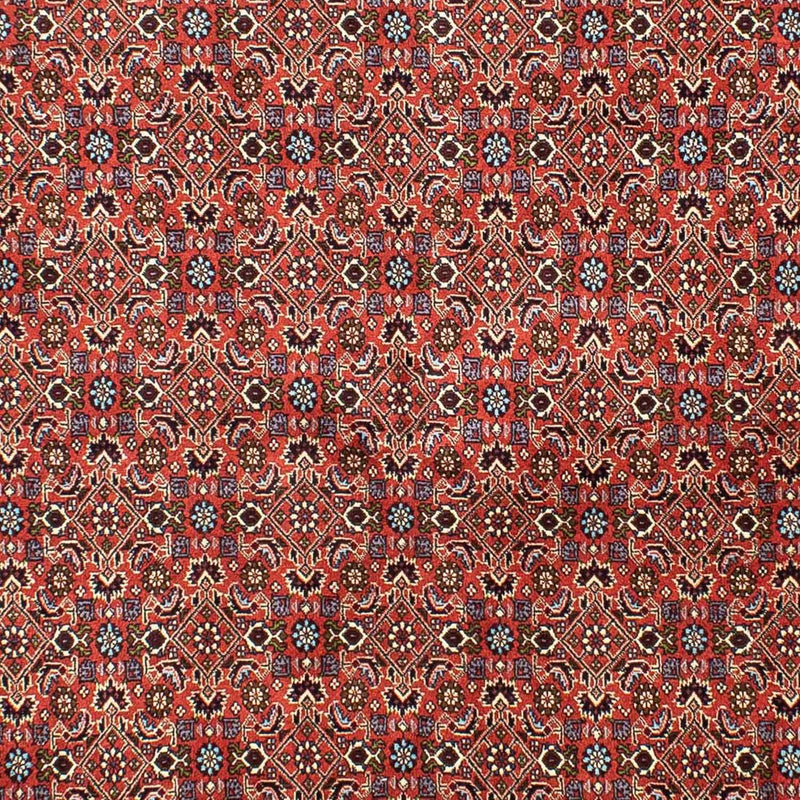 ビジャー 絨毯 288x202cm - ペルシャ絨毯