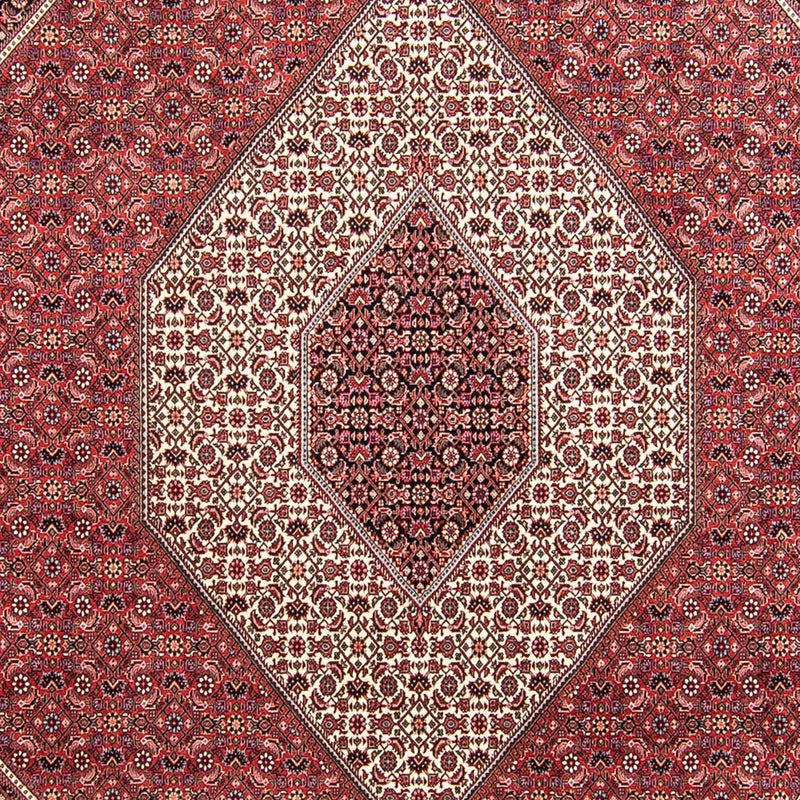 ビジャー 絨毯 295x253cm - ペルシャ絨毯
