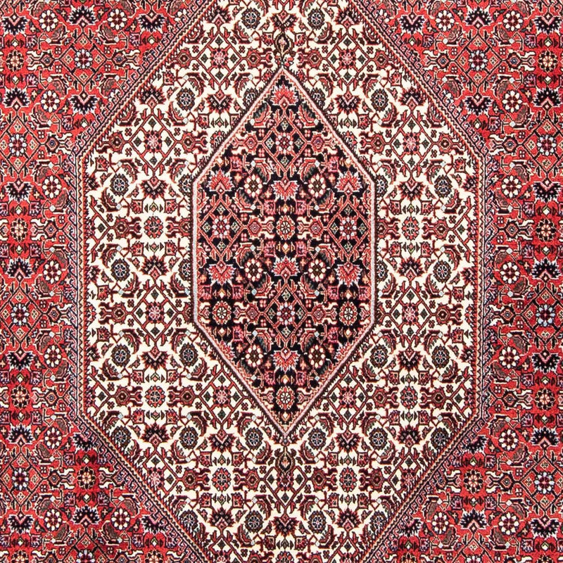 ビジャー 絨毯 250x168cm - ペルシャ絨毯