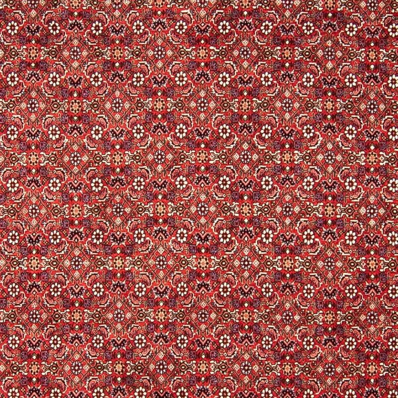 ビジャー 絨毯 290x250cm - ペルシャ絨毯