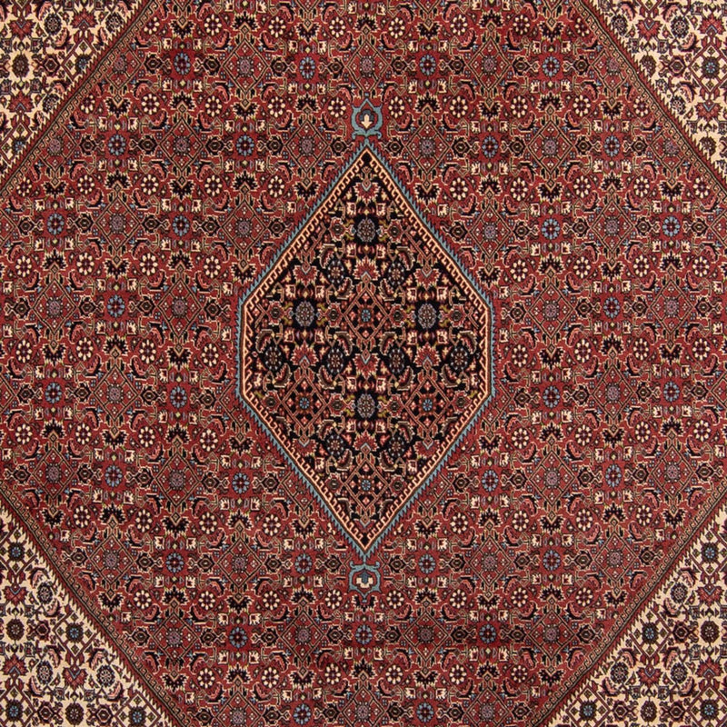 ビジャー 絨毯 350x248cm - ペルシャ絨毯