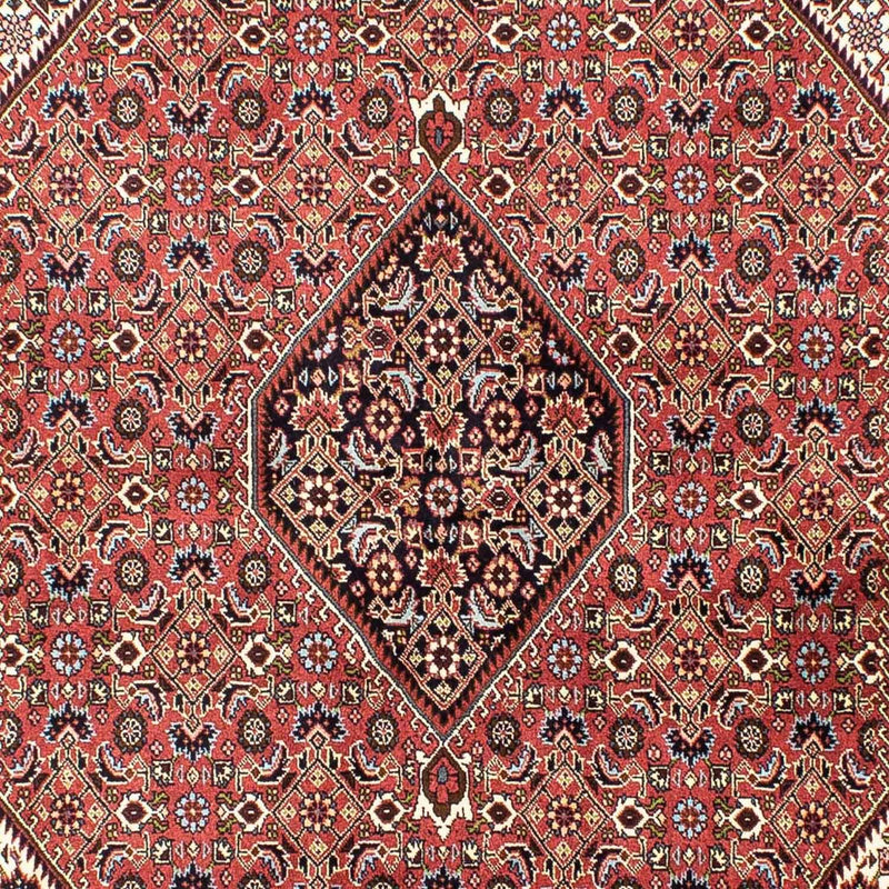 ビジャー 絨毯 250x173cm - ペルシャ絨毯