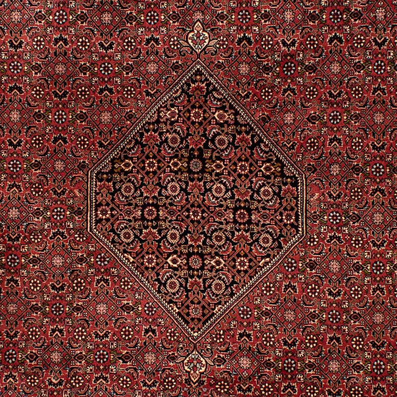 ビジャー 絨毯 300x202cm - ペルシャ絨毯
