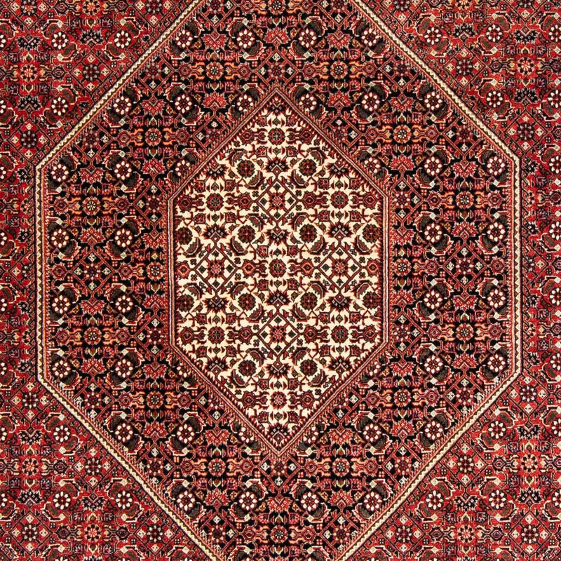 ビジャー 絨毯 233x169cm - ペルシャ絨毯