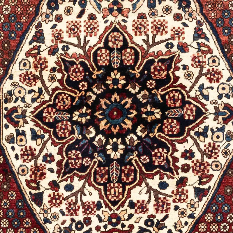 バフティアール 絨毯 263x158cm - ペルシャ絨毯