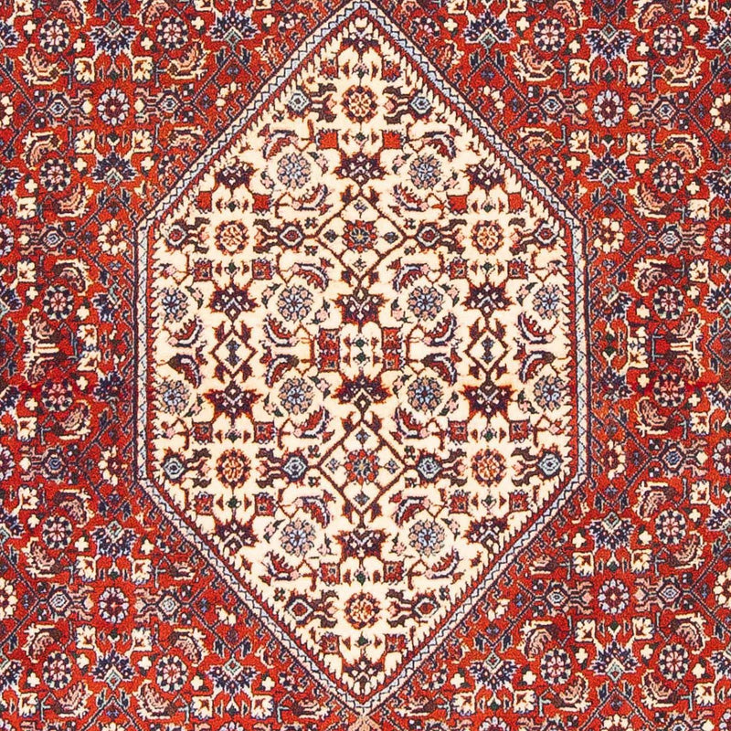 ビジャー 絨毯 168x110cm - ペルシャ絨毯