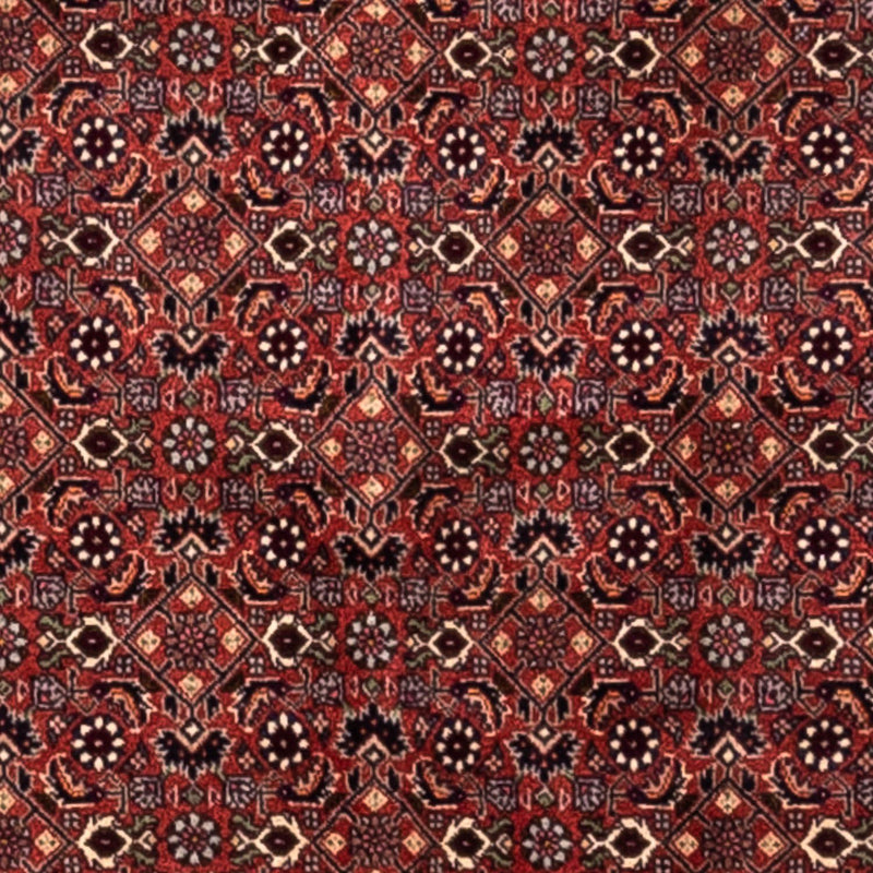 ビジャー - タカブ 絨毯 293x200cm - ペルシャ絨毯