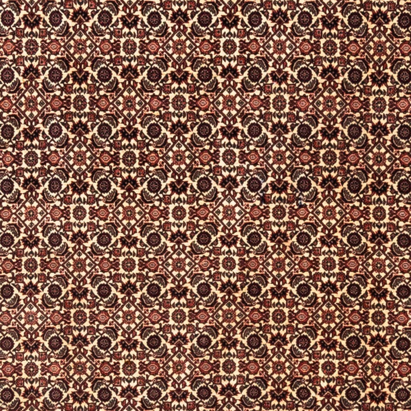 ビジャー - タカブ 絨毯 287x208cm - ペルシャ絨毯